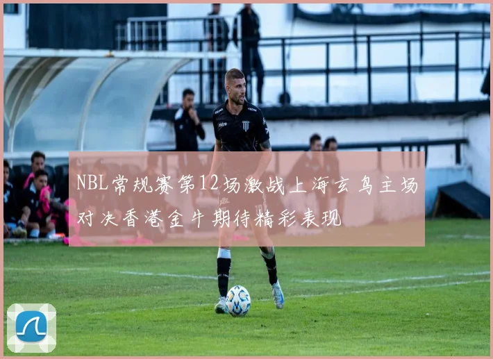 NBL常规赛第12场激战上海玄鸟主场对决香港金牛期待精彩表现