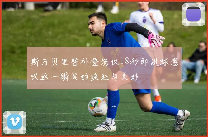 斯万贝里替补登场仅18秒即进球感叹这一瞬间的疯狂与美妙