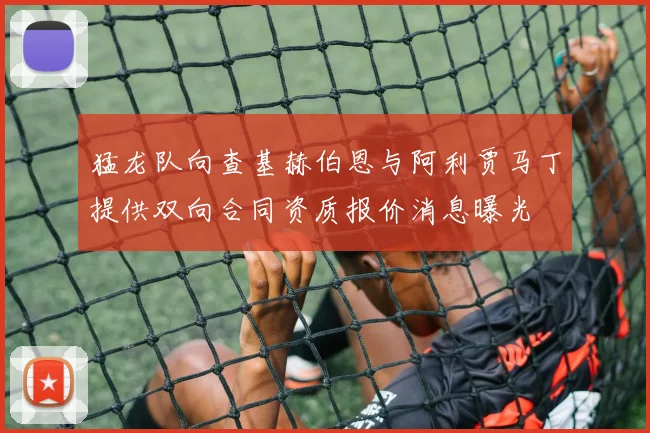 猛龙队向查基赫伯恩与阿利贾马丁提供双向合同资质报价消息曝光